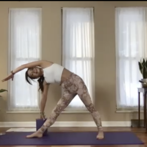 Healthy Psoas Flow - Hatha - 60 Minutes